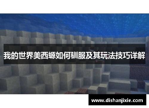 我的世界美西螈如何驯服及其玩法技巧详解
